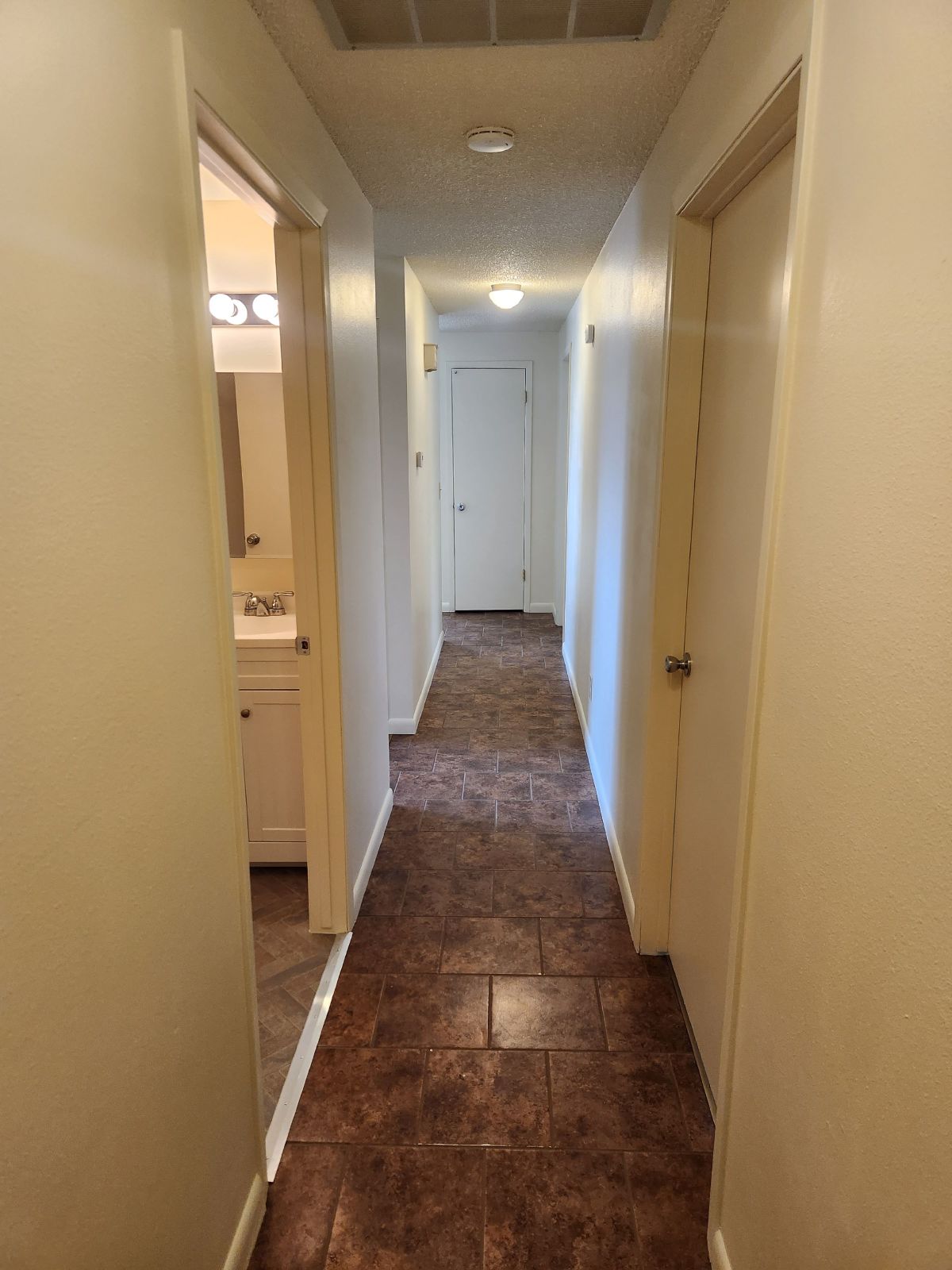 Coming Soon! 4 bedroom 2 bath property image